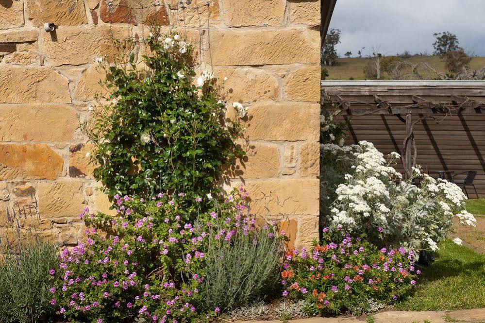 ריצ'מונד Daisy Bank Cottages מראה חיצוני תמונה